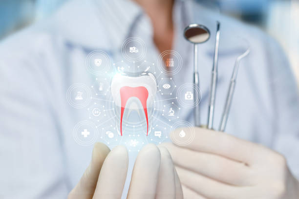Trusted Wheeling, WV  Holistic Dental Services Experts